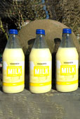 MULTI BUY 3 BANANA