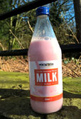 STRAWBERRY MILK